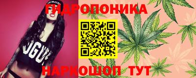 дживик Будённовск