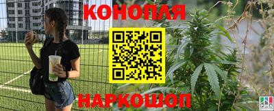дживик Будённовск