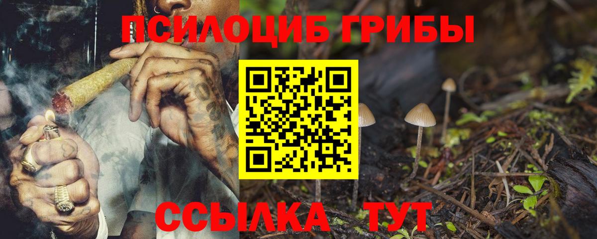 как найти закладки  Вход с VPN  Пушкино  Псилоцибиновые грибы Cubensis 